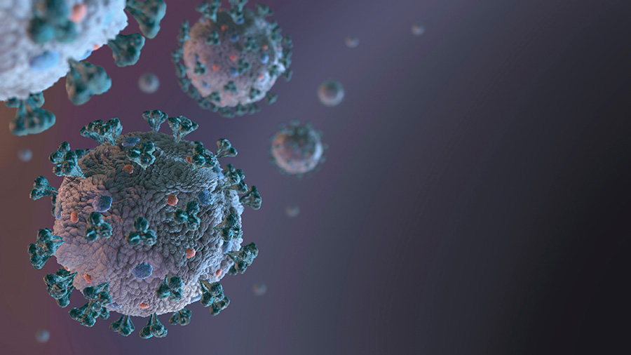 coronavirus