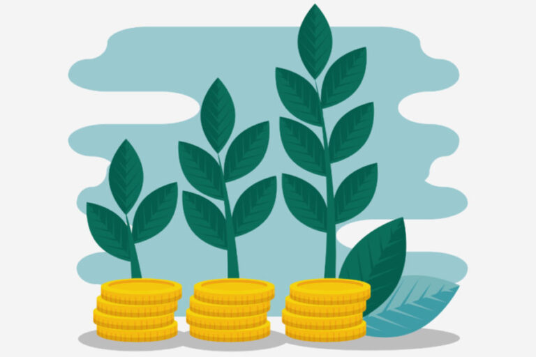 business strategy with coins money and plants