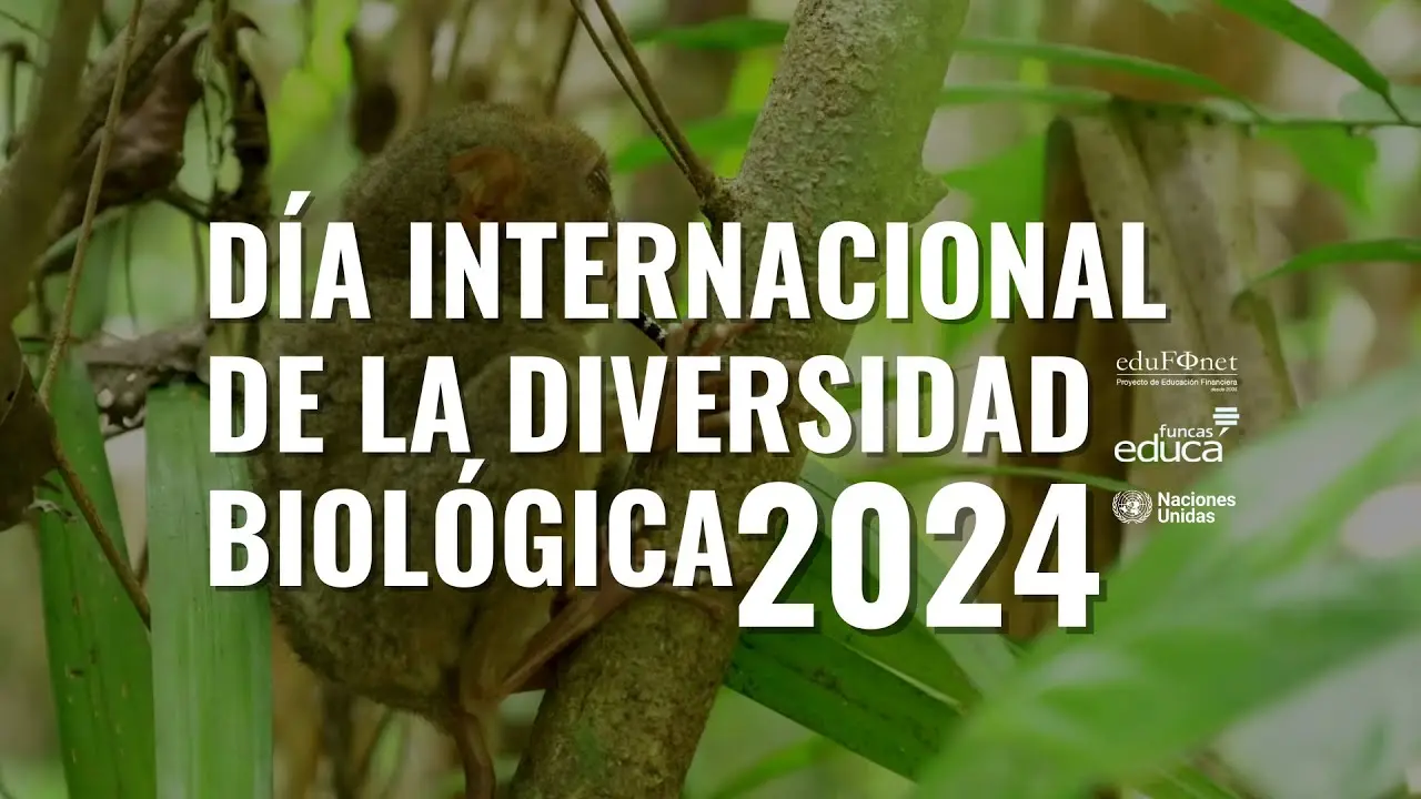 dia-internacional-de-la-diversidad-biologica